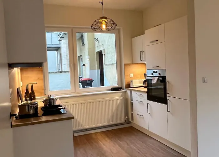 Apartment Deluxe Apartment Mainz I 2 Bedroom I 7P I Zentral I Kueche I Wifi I Naehe Zollhafen I Helloyou Apartments X Bright Collection